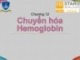 Bài giảng Hóa sinh - Chương 12: Chuyển hóa Hemoglobin