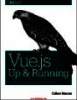 Vue.jsUp & RunningBUILDING ACCESSIBLE AND PERFORMANT WEB APPSCallum