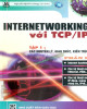 Ebook Internetworking với TCP/IP - Tập 1: Các nguyên lý, giao thức, kiến trúc (Phần 2)