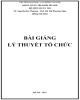 Bài giảng Lý thuyết tổ chức: Phần 1 - TS. Nguyễn Duy Phương