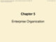 Bài giảng Quản trị doanh nghiệp – Chapter 5: Enterprise organization